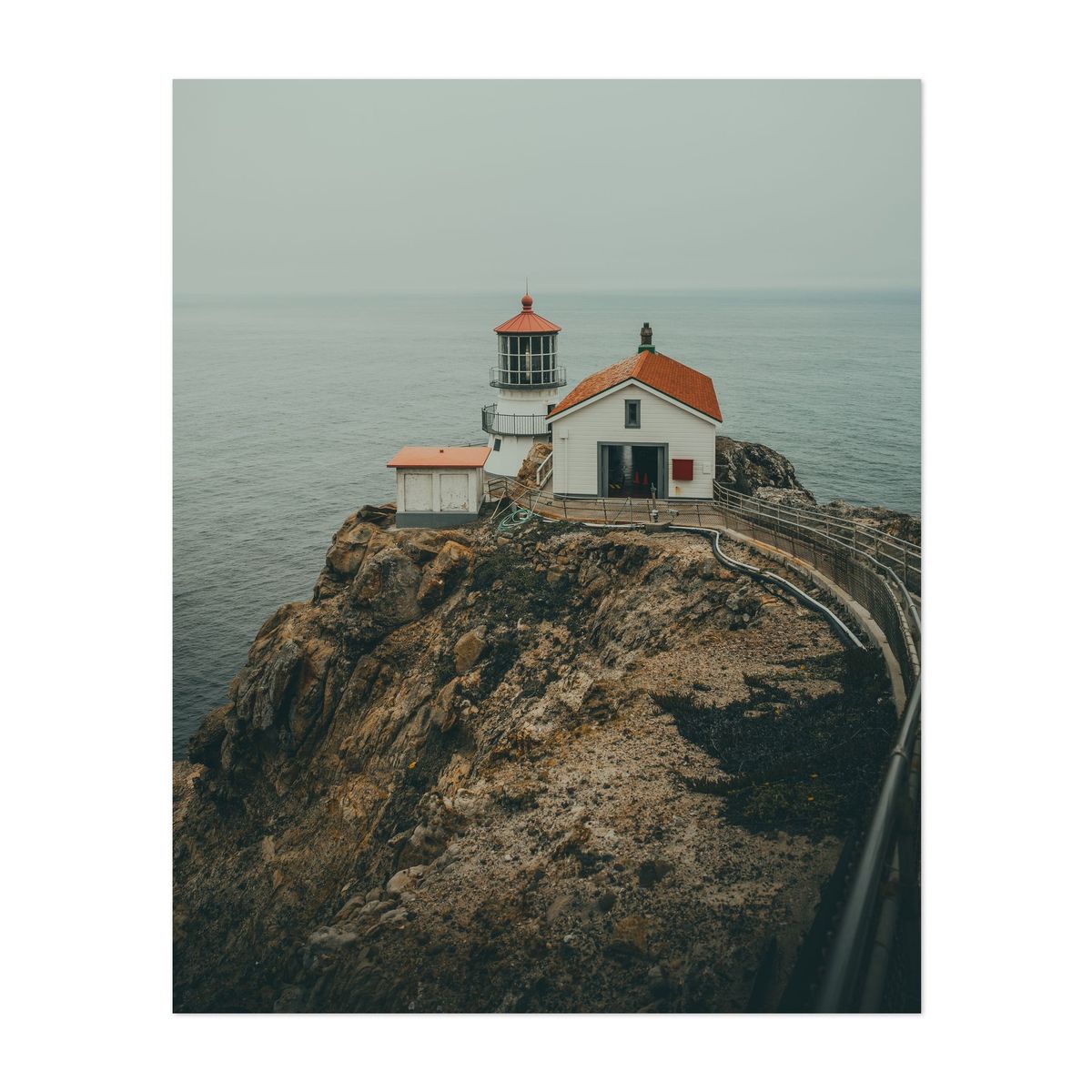 Point Reyes 01 - 2026 – image 1 of 2