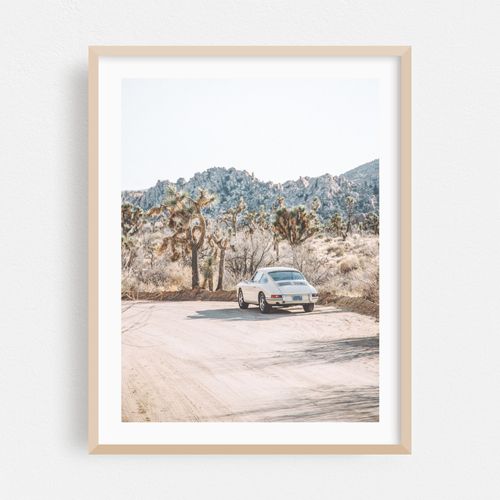 Desert Dream