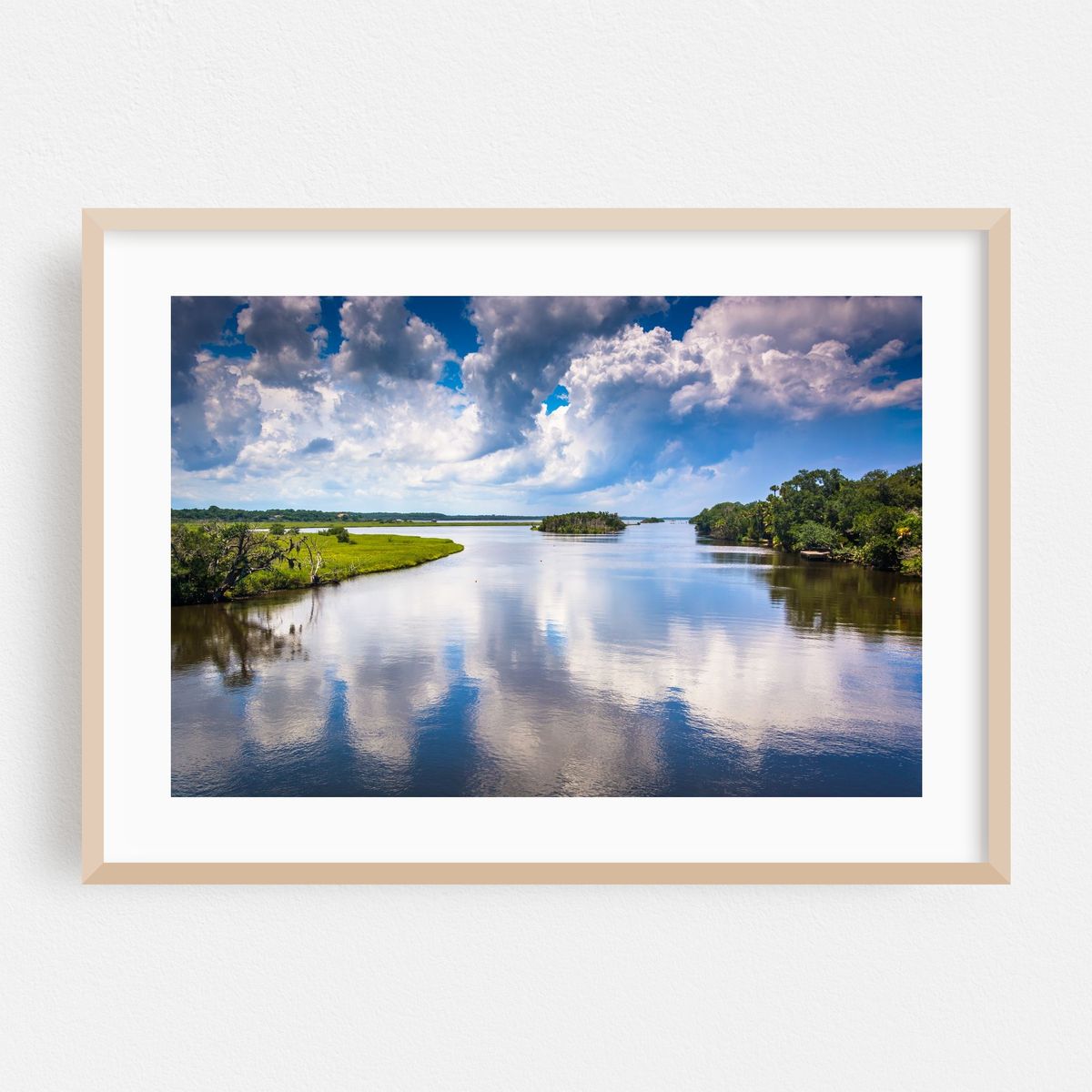 Tomoka River Reflections – image 1 of 6