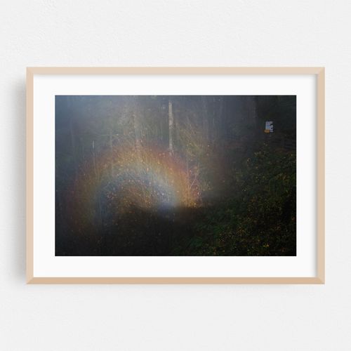 Silver Falls Fogbow