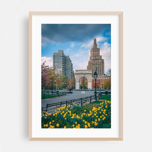 Tulips & Washington Square Arch