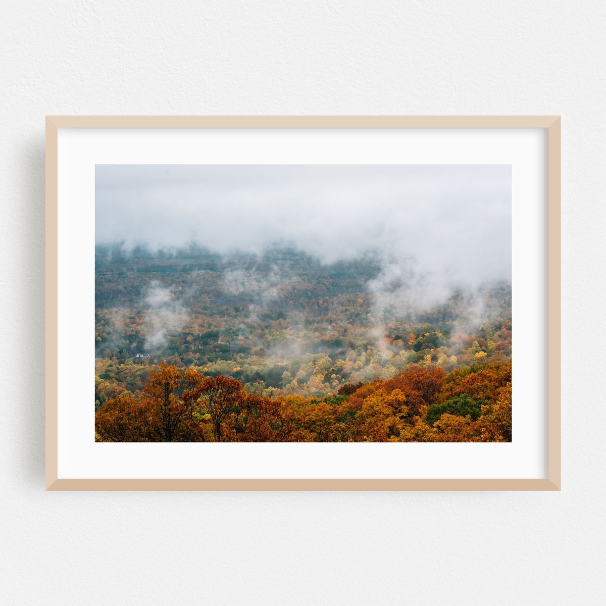 Shrouded – image 1 of 6