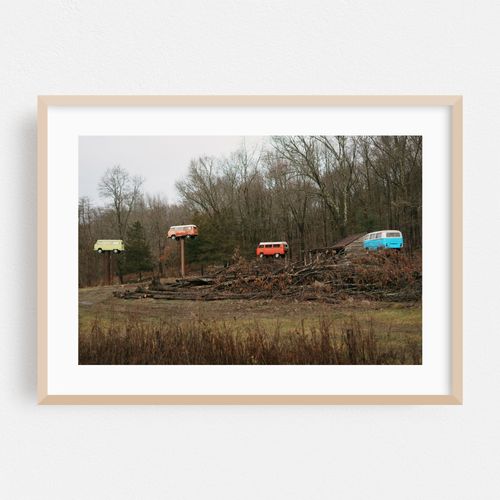 VW Trees, Walkill 02