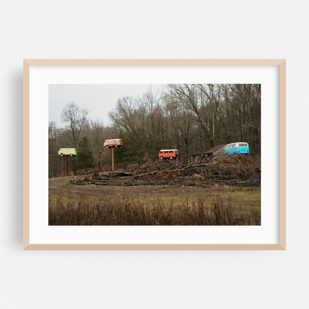 VW Trees, Walkill 02 – image 1 of 6