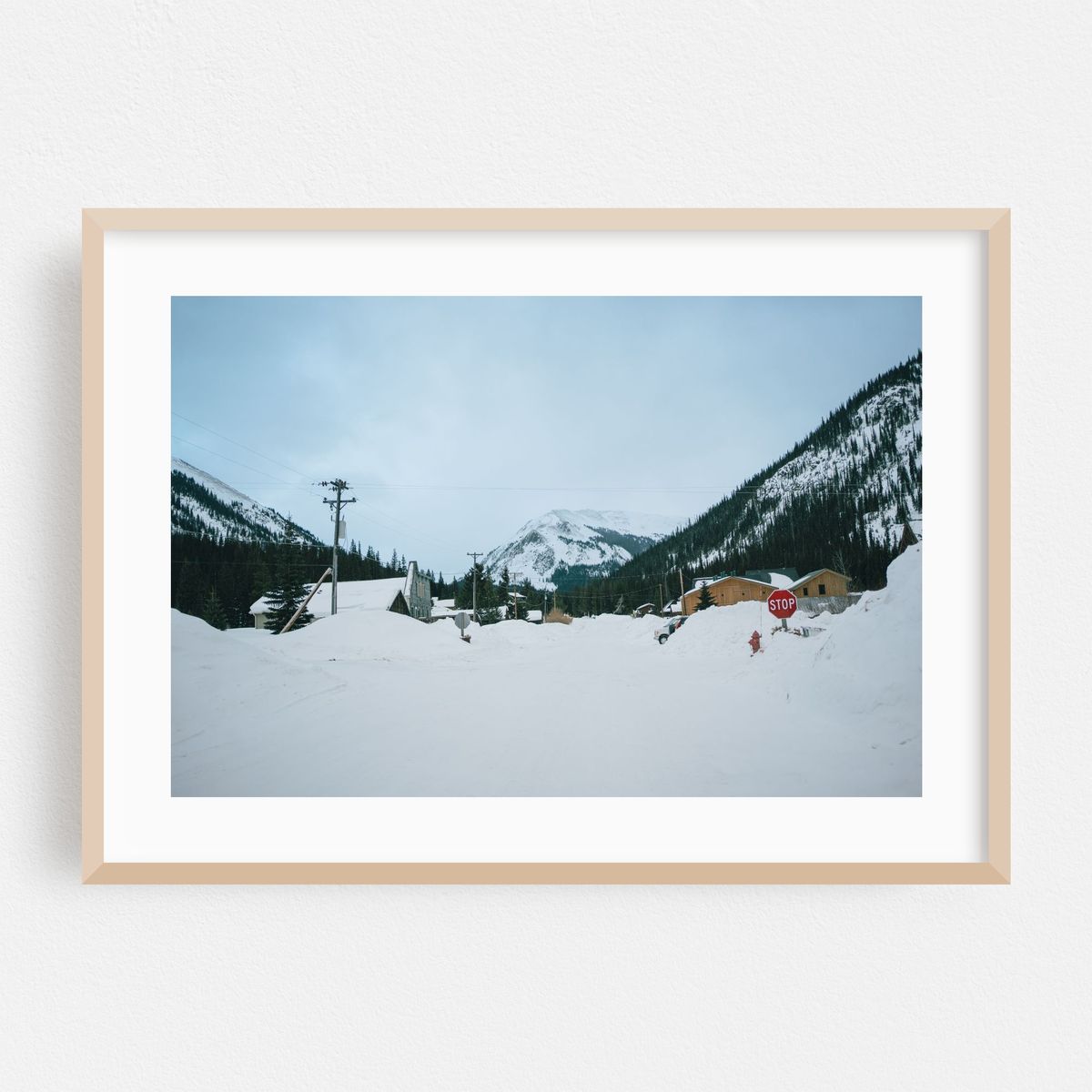 Snowy Montezuma – image 1 of 6