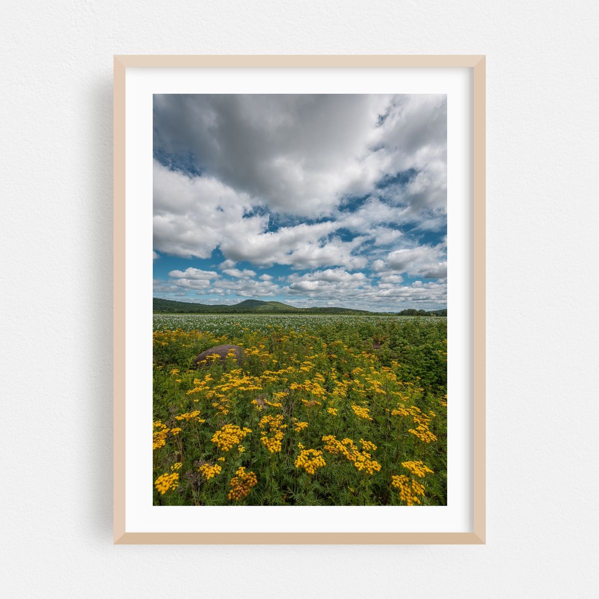 Adirondack Field – image 1 of 15