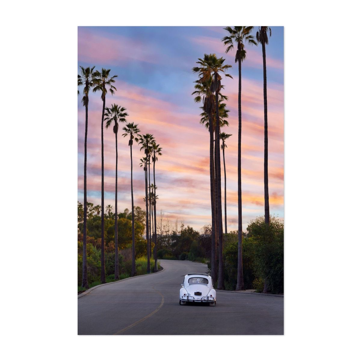Sunset Bug – image 1 of 2