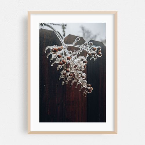 ICE STORM #1