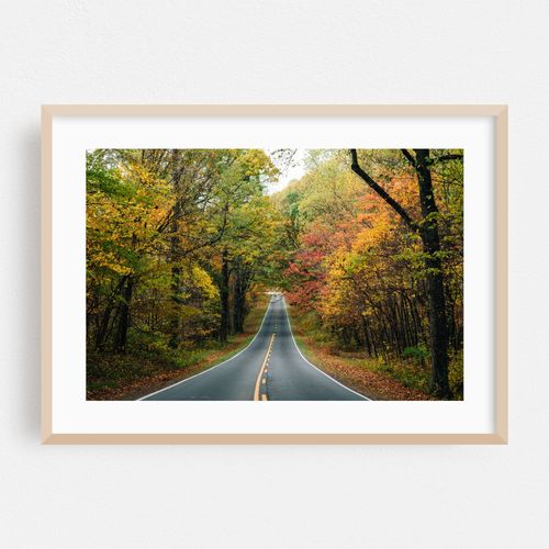 Skyline Drive
