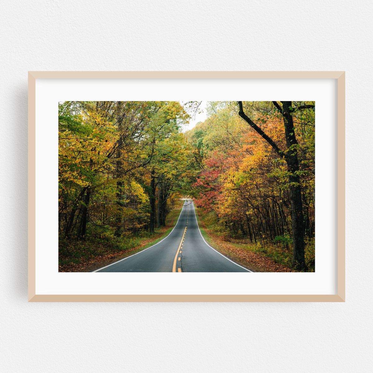 Skyline Drive – image 1 of 6