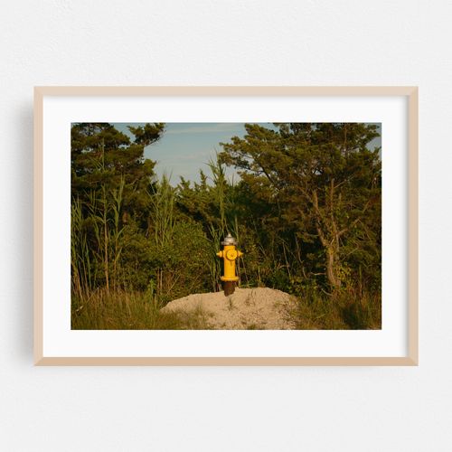 Hydrant, Fire Island