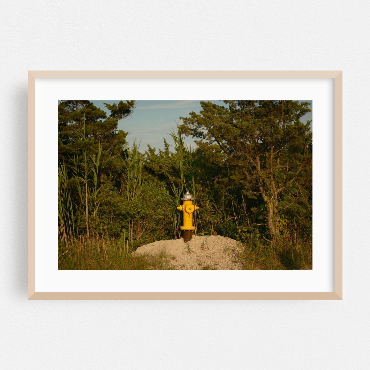 Hydrant, Fire Island – image 1 of 6