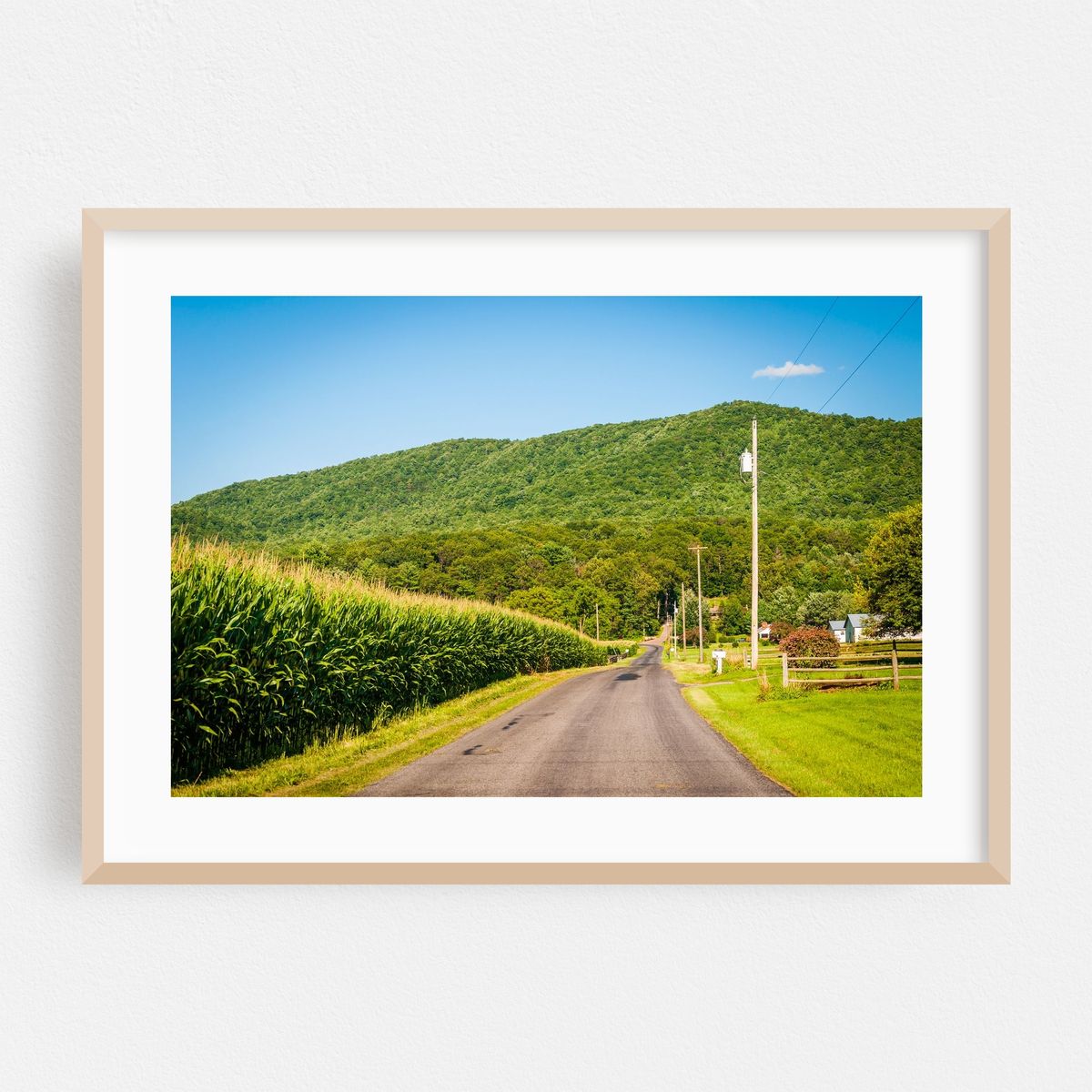 Corn Fields, Country Roads – image 1 of 6