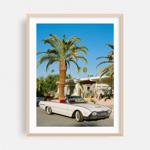 Palm Springs Thunderbird