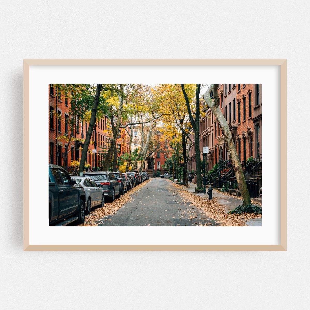 BK Heights Autumn 02 – image 1 of 6