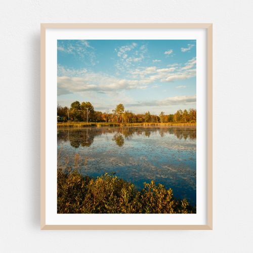 Autumn in Piercefield 02