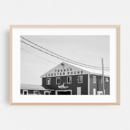 Young's Lobster Pound 02 B&W