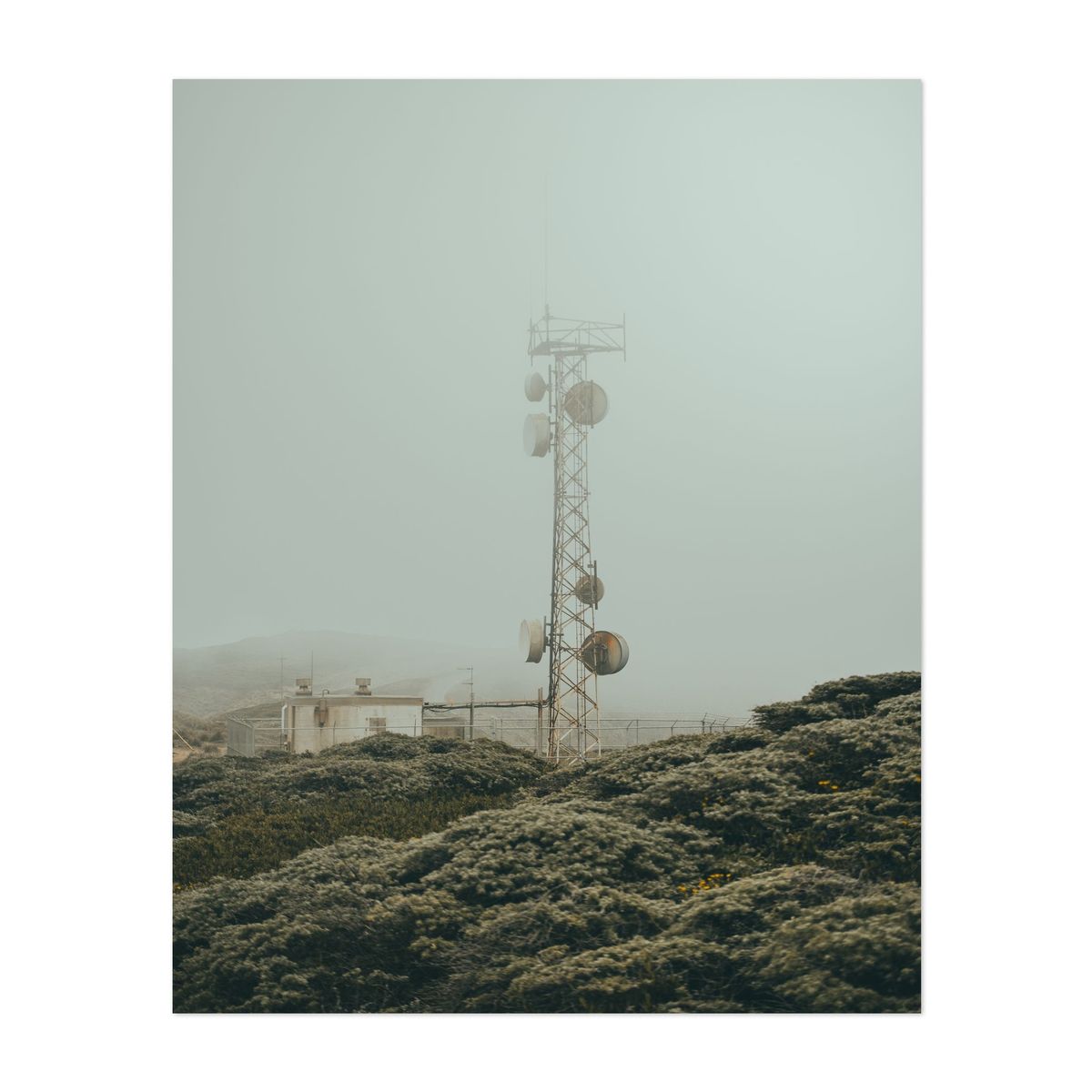 Point Reyes 07 - 2026 – image 1 of 2