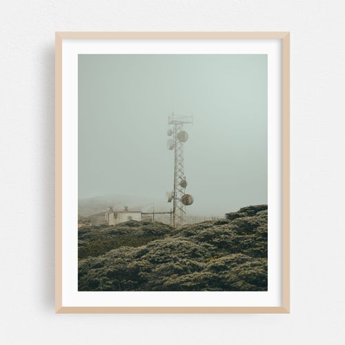 Point Reyes 07 - 2026