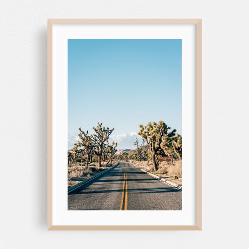 Joshua Tree Road 03