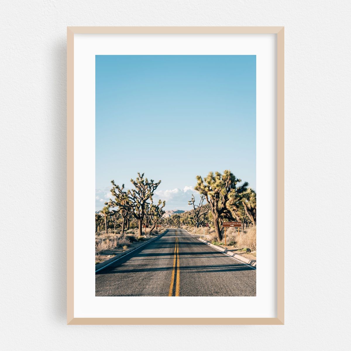 Joshua Tree Road 03 – image 1 of 16