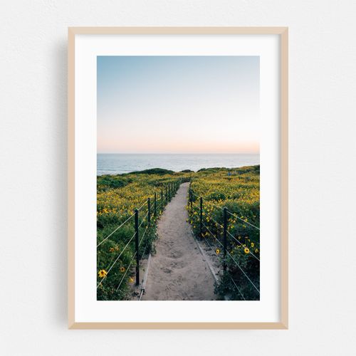 Headlands Path 01