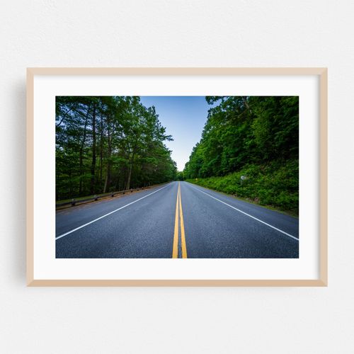 Daniel Webster Highway