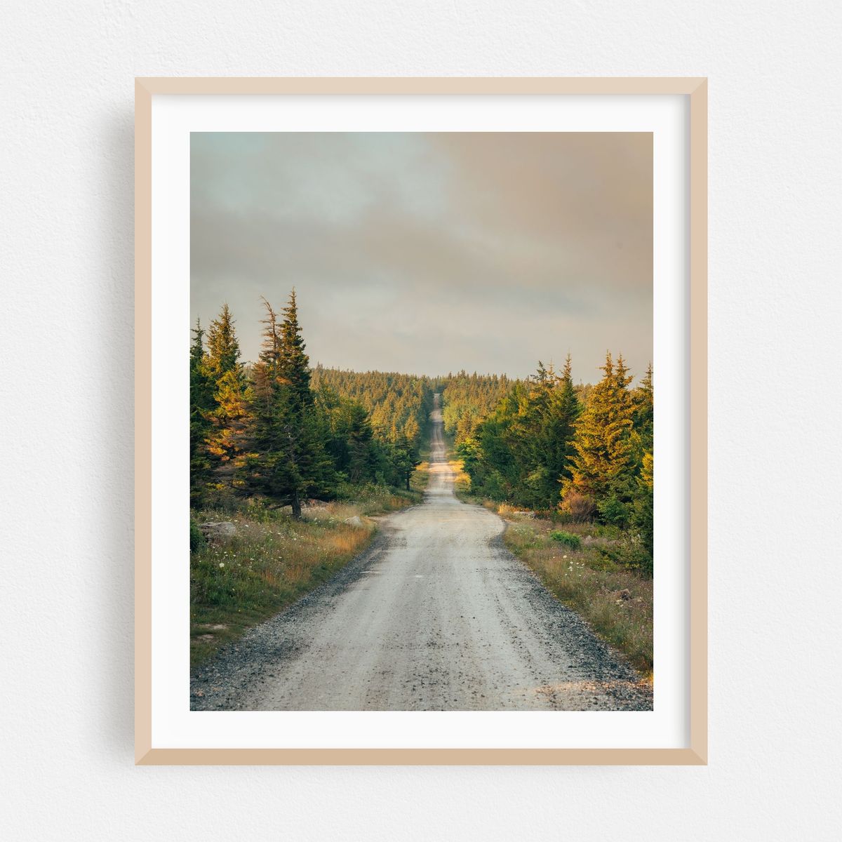 Road in Dolly Sods 02 – image 1 of 12