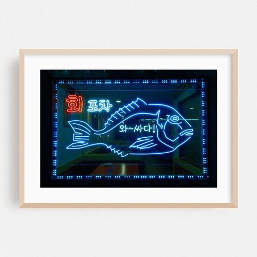 Neon Fish, Murray Hill
