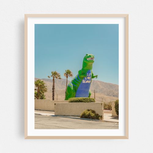 Cabazon Dinosaurs 10