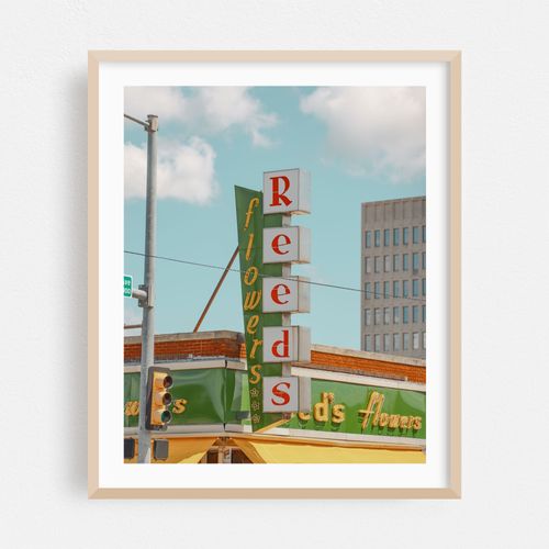 Reed's Flowers 02