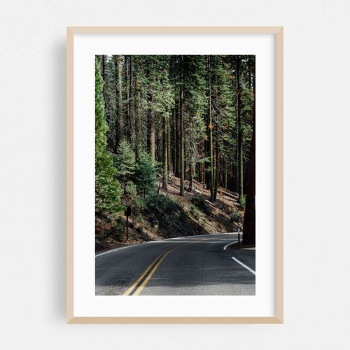 Sequoia Road