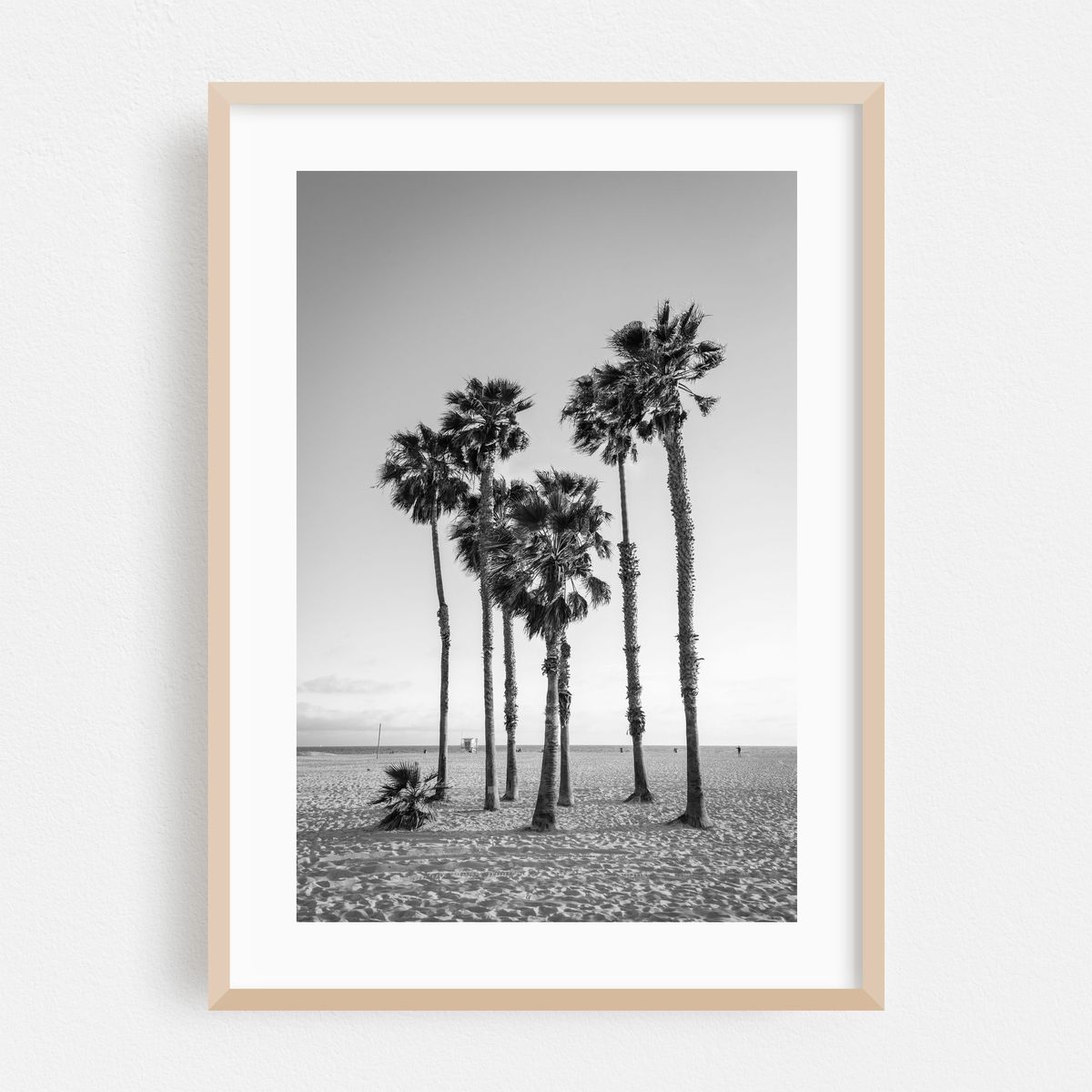 Palms, Santa Monica 01 B&W – image 1 of 16