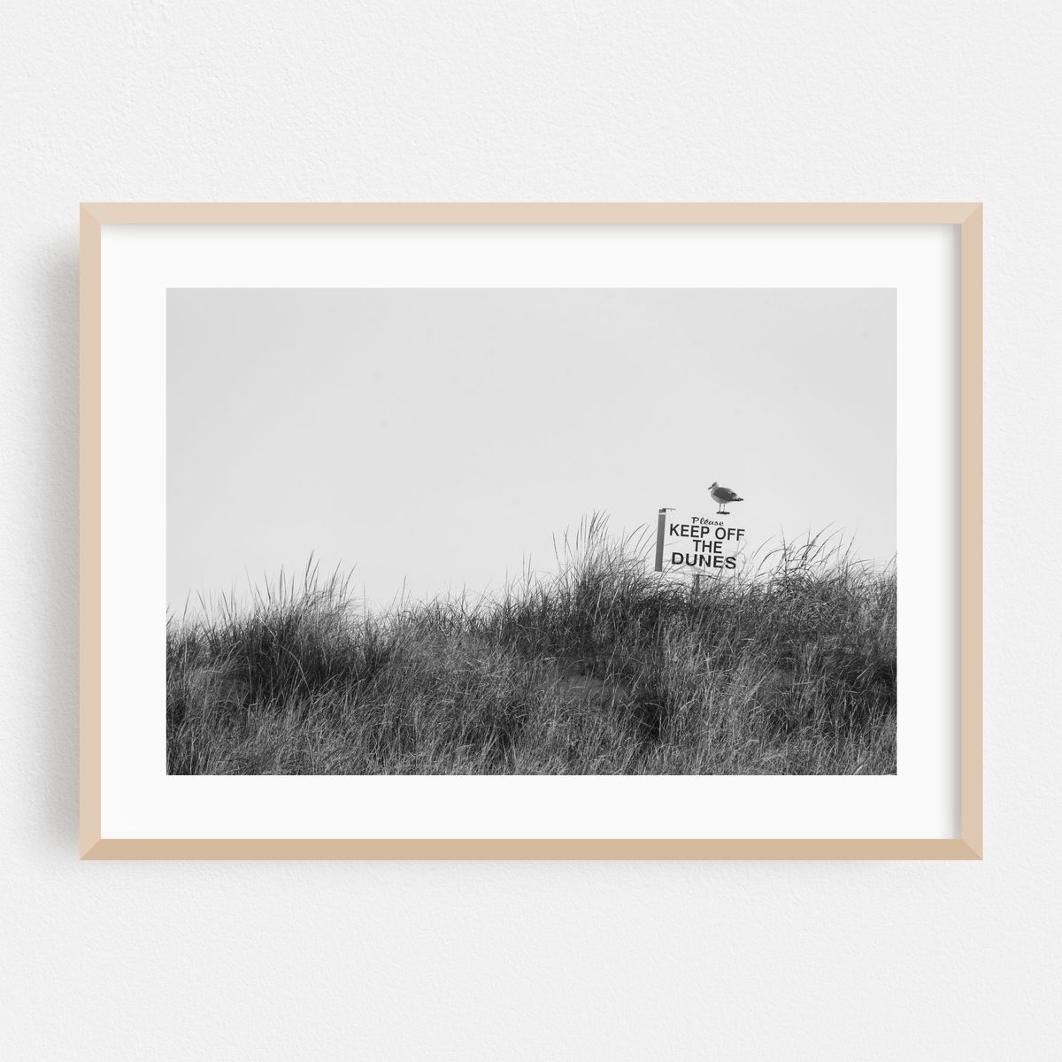 Keep Off The Dunes B&W – image 1 of 6
