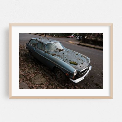 Moss on Old Vehicle