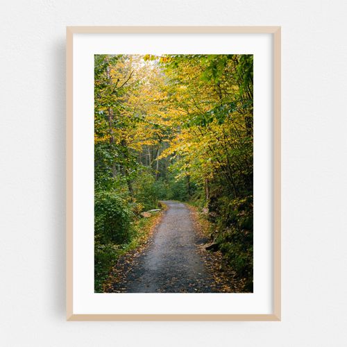 Trapps Trail