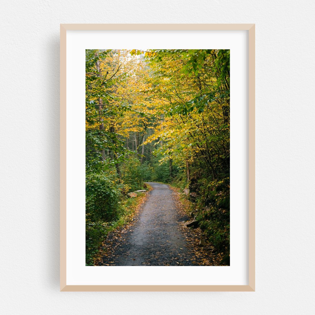 Trapps Trail – image 1 of 16