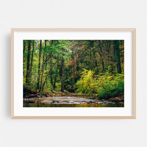 Creek at Rocks State Park