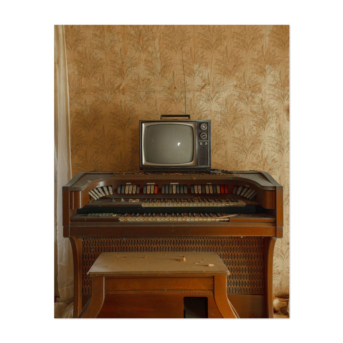Lostland House 01 – image 1 of 2