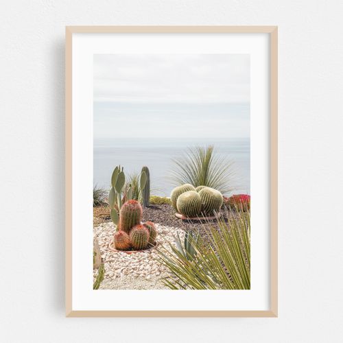 Botanical Garden View