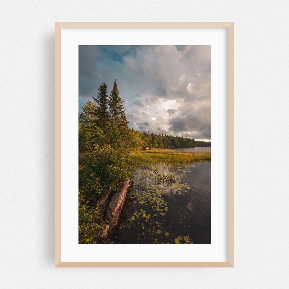 Horseshoe Lake – image 1 of 16