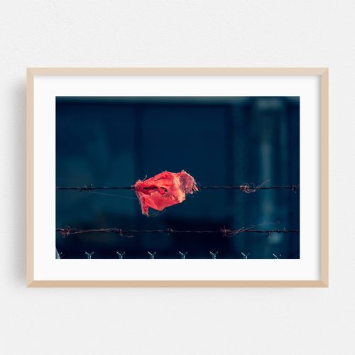 Torn Fabric on a wired fence