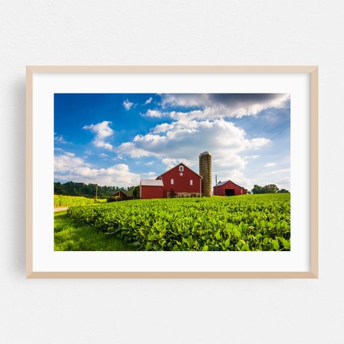 Red Barn, Spring Grove