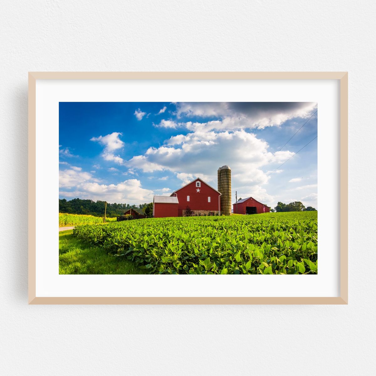 Red Barn, Spring Grove – image 1 of 6