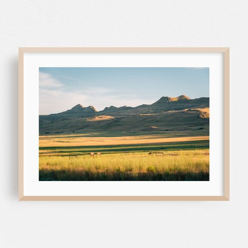 Rural Antelope Island 01