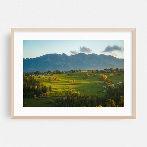 Suche Views 03