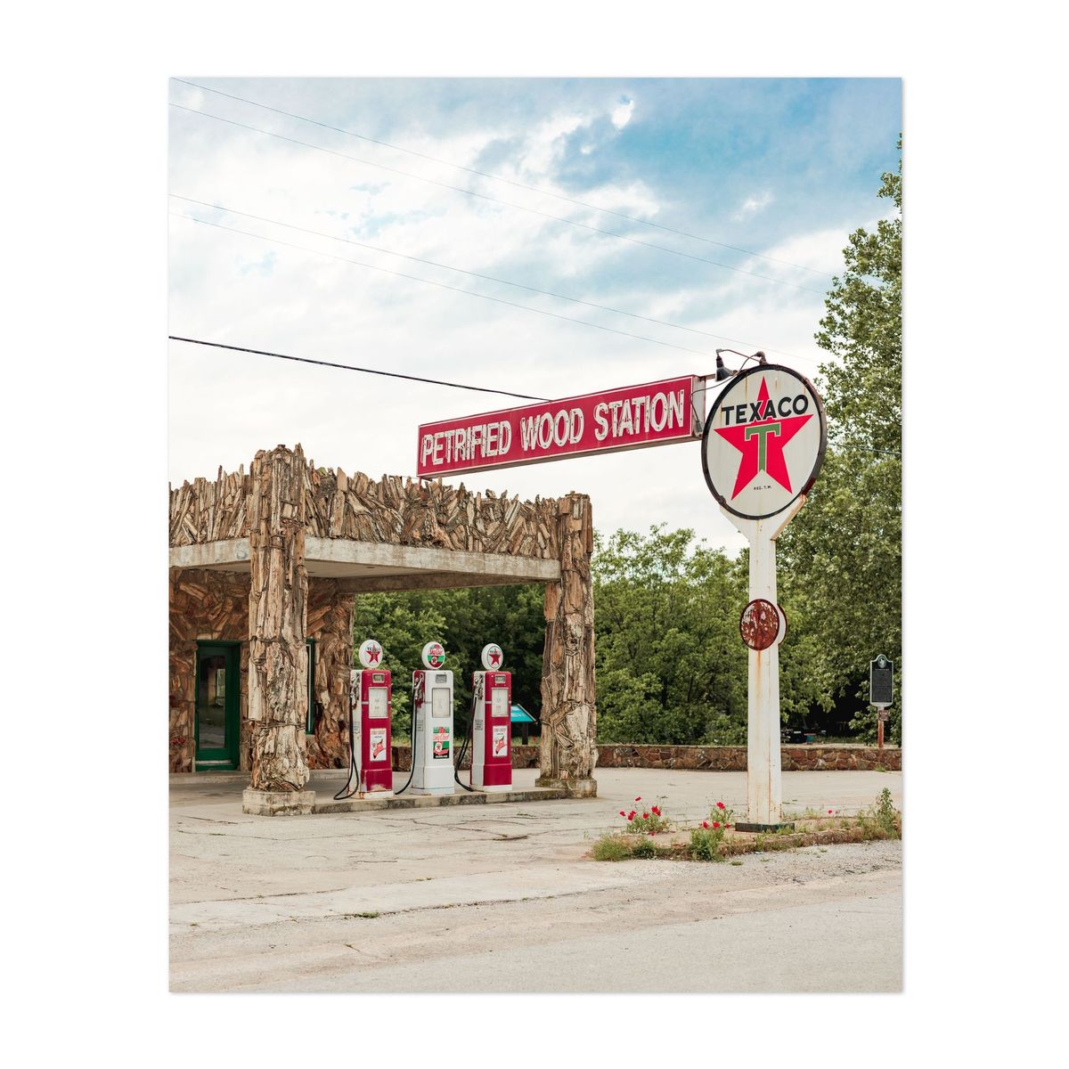 Petrified Wood Station 01 – image 1 of 2