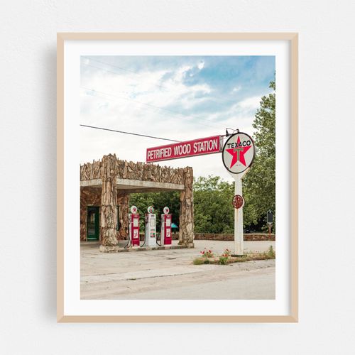 Petrified Wood Station 01