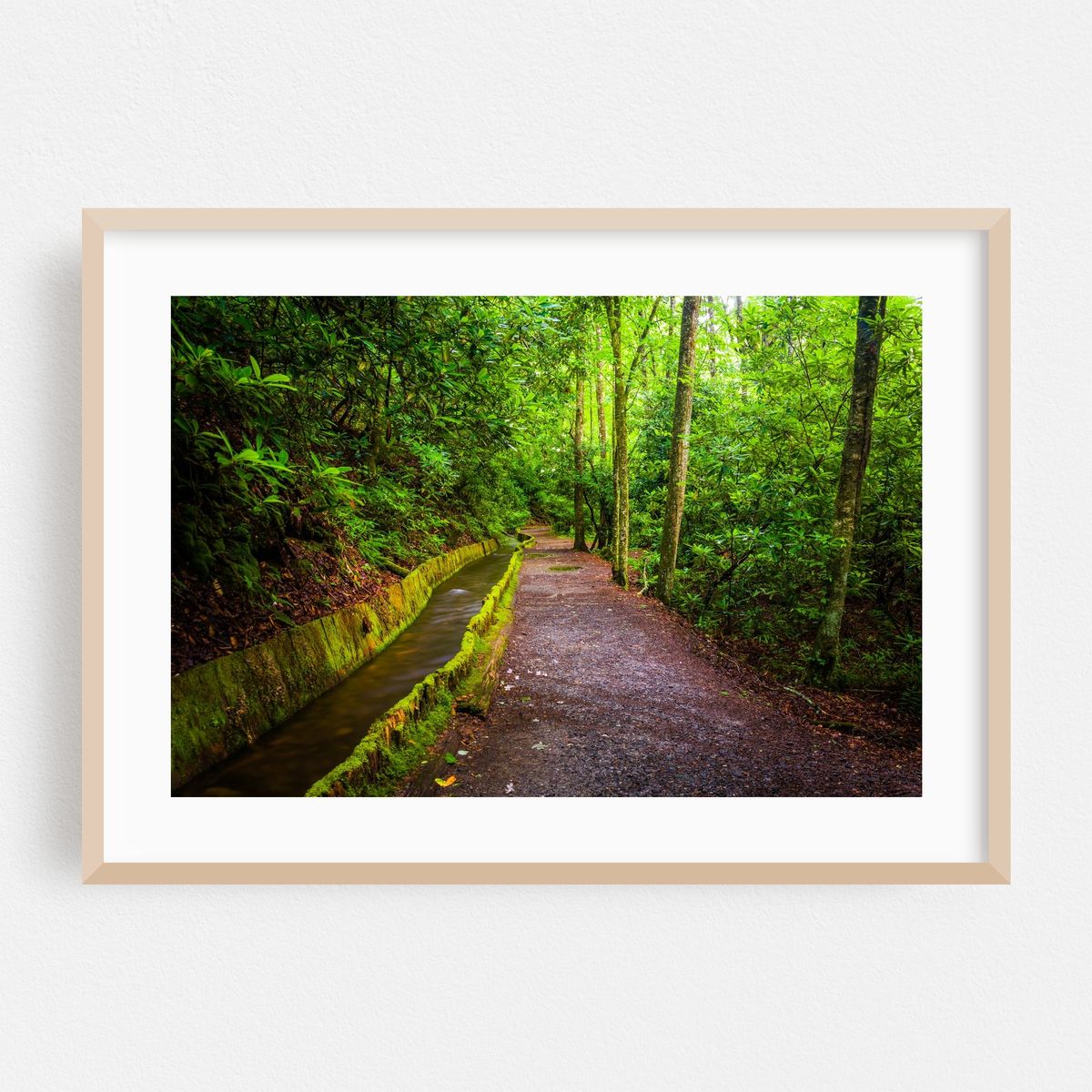 Flume & Trail – image 1 of 6