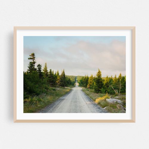 Road in Dolly Sods 01